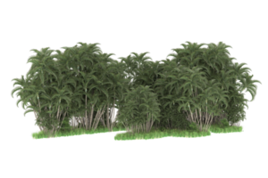 Realistic forest isolated on transparent background. 3d rendering - illustration png