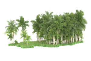 Realistic forest isolated on transparent background. 3d rendering - illustration png