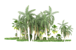 floresta realista isolada em fundo transparente. renderização 3D - ilustração png