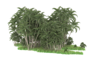 Realistic forest isolated on transparent background. 3d rendering - illustration png