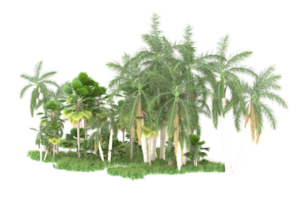 Realistic forest isolated on transparent background. 3d rendering - illustration png