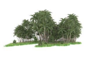 forêt réaliste isolée sur fond transparent. rendu 3d - illustration png