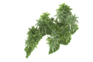 Realistic forest isolated on transparent background. 3d rendering - illustration png