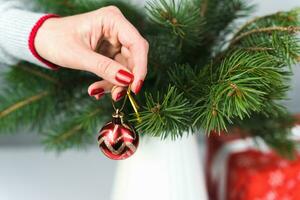 A woman's hand hangs a Christmas ball on a fir-tree branch at home. Christmas decor, Christmas tree decoration. Selective focus. Close-up. photo