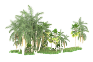 Realistic forest isolated on transparent background. 3d rendering - illustration png