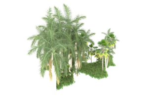 Realistic forest isolated on transparent background. 3d rendering - illustration png