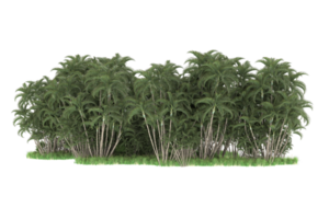 Realistic forest isolated on transparent background. 3d rendering - illustration png