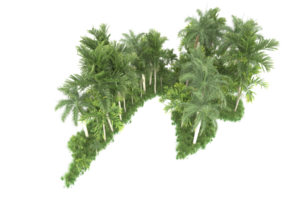 floresta realista isolada em fundo transparente. renderização 3D - ilustração png