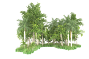 Realistic forest isolated on transparent background. 3d rendering - illustration png