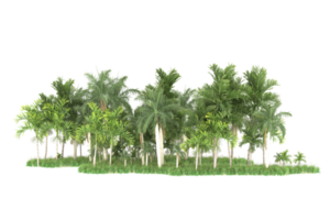 Realistic forest isolated on transparent background. 3d rendering - illustration png