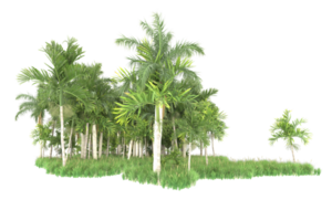 Realistic forest isolated on transparent background. 3d rendering - illustration png