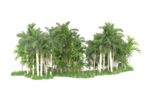 Realistic forest isolated on transparent background. 3d rendering - illustration png