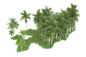realistico foresta isolato su trasparente sfondo. 3d interpretazione - illustrazione png
