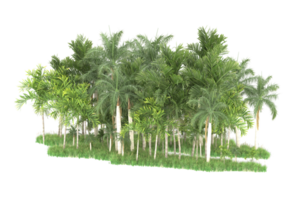 Realistic forest isolated on transparent background. 3d rendering - illustration png