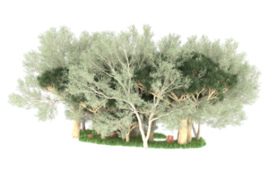 Realistic forest isolated on transparent background. 3d rendering - illustration png