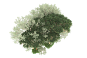 forêt réaliste isolée sur fond transparent. rendu 3d - illustration png