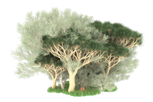 Realistic forest isolated on transparent background. 3d rendering - illustration png