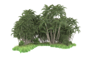 Realistic forest isolated on transparent background. 3d rendering - illustration png