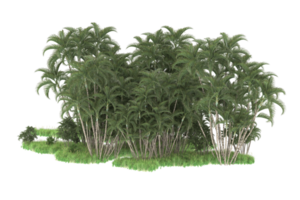 Realistic forest isolated on transparent background. 3d rendering - illustration png