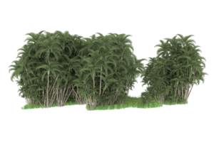 Realistic forest isolated on transparent background. 3d rendering - illustration png