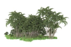 Realistic forest isolated on transparent background. 3d rendering - illustration png