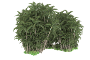 Realistic forest isolated on transparent background. 3d rendering - illustration png