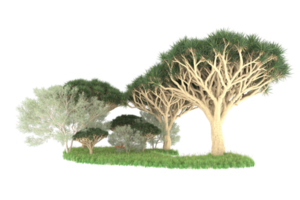 Realistic forest isolated on transparent background. 3d rendering - illustration png