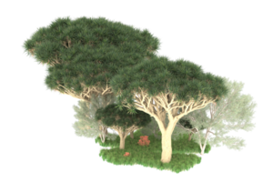 Realistic forest isolated on transparent background. 3d rendering - illustration png