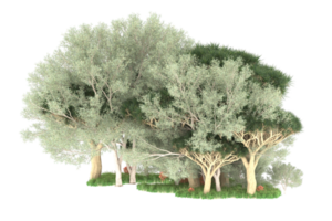 Realistic forest isolated on transparent background. 3d rendering - illustration png