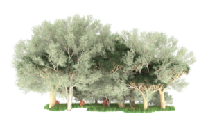 Realistic forest isolated on transparent background. 3d rendering - illustration png