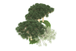 Realistic forest isolated on transparent background. 3d rendering - illustration png