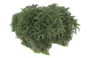 Realistic forest isolated on transparent background. 3d rendering - illustration png