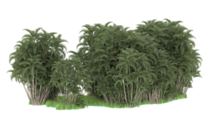 forêt réaliste isolée sur fond transparent. rendu 3d - illustration png