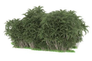 Realistic forest isolated on transparent background. 3d rendering - illustration png