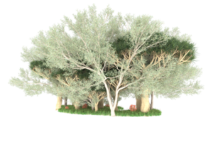 Realistic forest isolated on transparent background. 3d rendering - illustration png