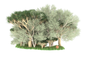 Realistic forest isolated on transparent background. 3d rendering - illustration png
