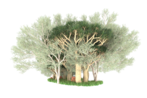 forêt réaliste isolée sur fond transparent. rendu 3d - illustration png