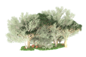 Realistic forest isolated on transparent background. 3d rendering - illustration png