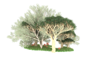 Realistic forest isolated on transparent background. 3d rendering - illustration png