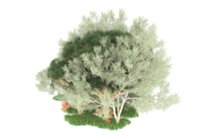 Realistic forest isolated on transparent background. 3d rendering - illustration png