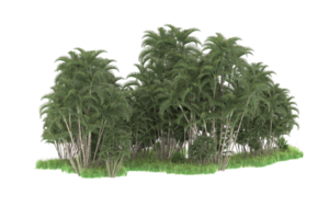 realistico foresta isolato su trasparente sfondo. 3d interpretazione - illustrazione png