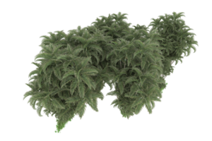 Realistic forest isolated on transparent background. 3d rendering - illustration png