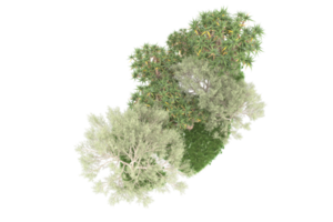 realistico foresta isolato su trasparente sfondo. 3d interpretazione - illustrazione png