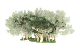 Realistic forest isolated on transparent background. 3d rendering - illustration png