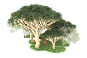 Realistic forest isolated on transparent background. 3d rendering - illustration png