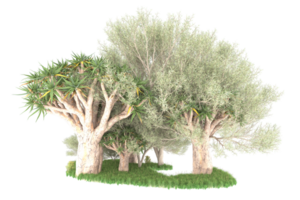 Realistic forest isolated on transparent background. 3d rendering - illustration png