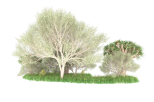 Realistic forest isolated on transparent background. 3d rendering - illustration png