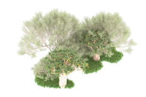 Realistic forest isolated on transparent background. 3d rendering - illustration png