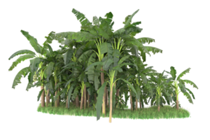 Realistic forest isolated on transparent background. 3d rendering - illustration png