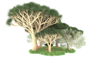 forêt réaliste isolée sur fond transparent. rendu 3d - illustration png